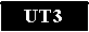 UT3